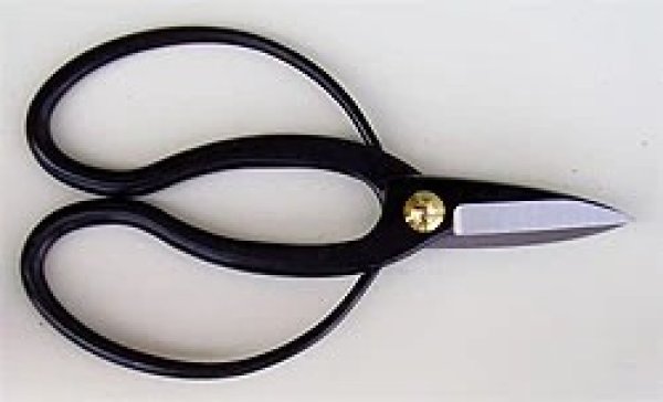 Photo1: No.60117  Long handle shear ‘Okubo’ [210g/190mm] (1)