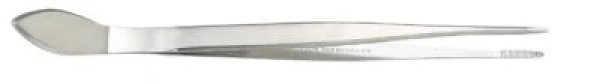 Photo1: No.1313  Stainless tweezers straight [60g/220mm] (1)