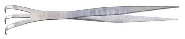 Photo1: No.1322  Stainless tweezers with rake [45g/210mm] (1)