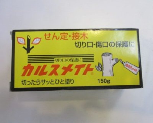 Photo3: No.CARUS  Carusmate (3)