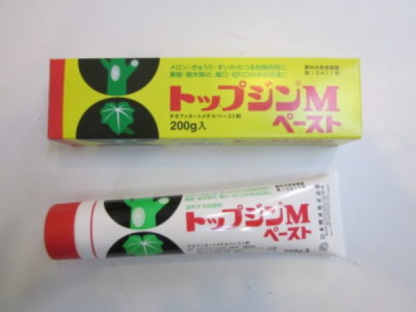 Photo1: No.topjin  Top Jin M paste (1)