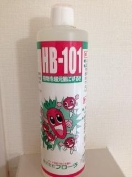 Photo1: No.LHB-101  HB-101(liquid) 100cc (1)