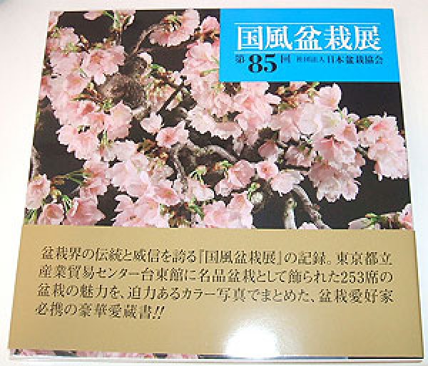 Photo1: No.KF85  Kokufu album 2011 (1)