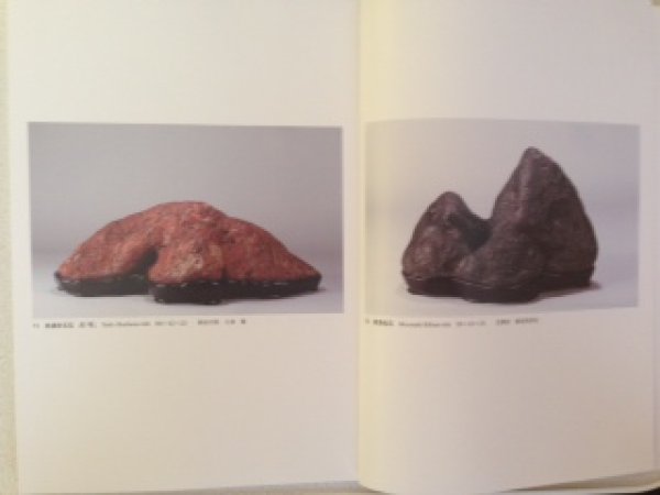 Photo3: No. 54 Suiseki  Exhibition of Japanese Suiseki Masterpieces (2014) (3)