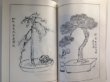 Photo3: No.Art Bonsai  Art of Bonsai Nursery “History of Seiko en” (3)