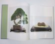 Photo2: No.Oiwai Book  Bonsai Exhibition of the Crown Prince Marriage Anniversary (1993) (2)