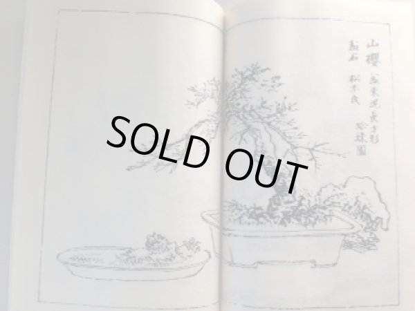 Photo4: No.Art Bonsai  Art of Bonsai Nursery “History of Seiko en” (4)