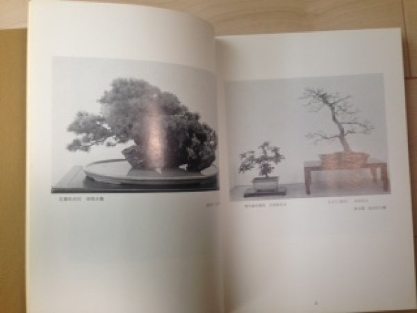 Photo2: No.KF45  Kokufu album 1971(total 201 pages) (2)