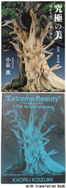 Photo1: No.Koizumi Book Version 1  Extreme Beauty No.1 with translation book (1)