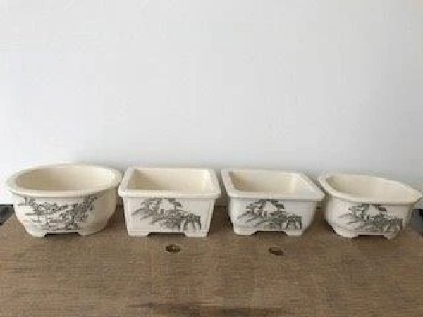 Photo2: No.501  Bunzan, Satsuki Azalea pot set , 4pcs (2)