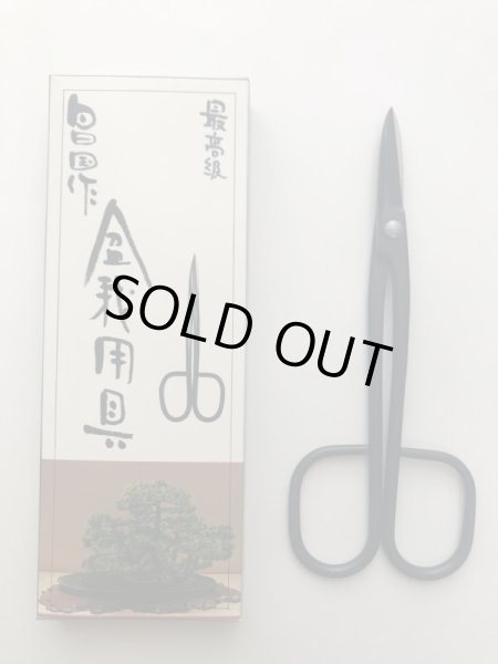 Photo5: No.0028  Trimming Shears middle size [90g/180mm] (5)