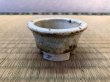 Photo1: No.EB0063  SHOSEKI (1)
