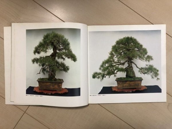 Photo2: No.SF album  Sakufu ten No.4 (1979) (2)