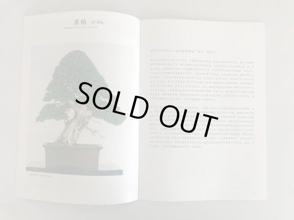 Photo4: No. KK-1  Kunio Kobayashi Book (4)