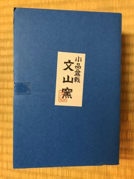 Photo2: No.305  Bunzan, Mame bonsai pot, 12pcs (2)