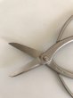 Photo4: No.8801  Trimming Shears / Small [90g/155mm] (4)