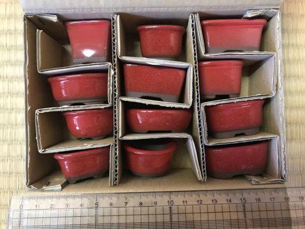 Photo1: No.303  Bunzan, Mame bonsai pot, 12pcs (1)