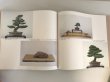 Photo4: No.World Bonsai 9  International Bonsai and Suiseki Exhibition  1988 year (4)