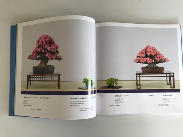 Photo2: No.SF2013  Satsuki Festival 2013 (2)