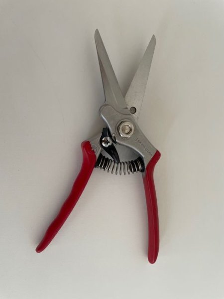 Photo2: Masakuni No.2020  Utility Pruning Shears [200g/210mm] (2)
