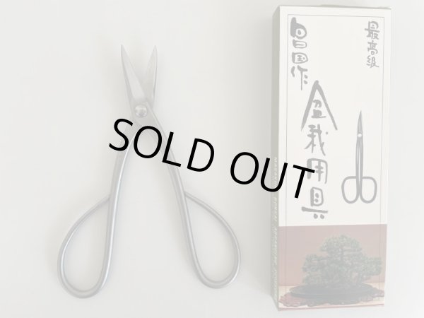 Photo3: No.SS-202  Trimming Shears Type B* [135g/180mm] (3)