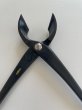 Photo3: No.0416  Concave Branch Cutter, Specially Made (Made to order)* [210g/220mm] (3)