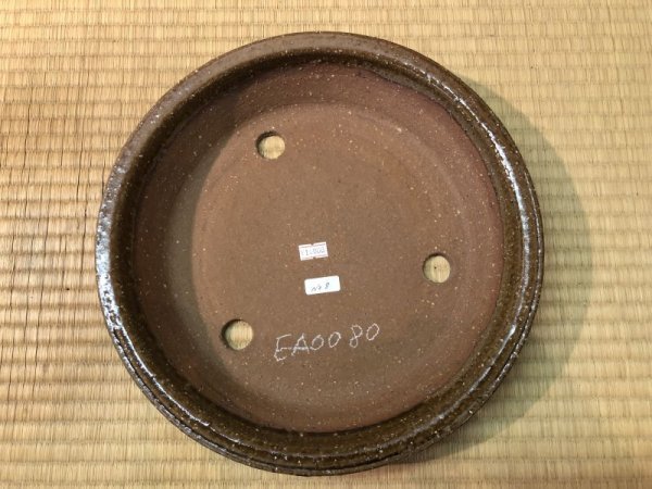 Photo3: No.EA0080  Koyo (3)