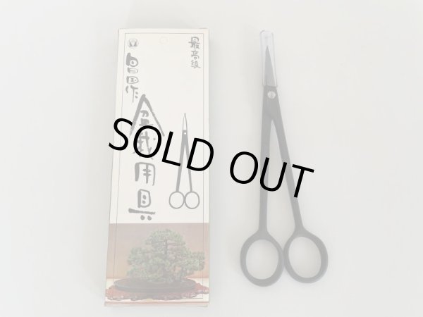 Photo2: No.0005  Bud Trimming Shears for Pines and Junipers [60g/145mm] (2)