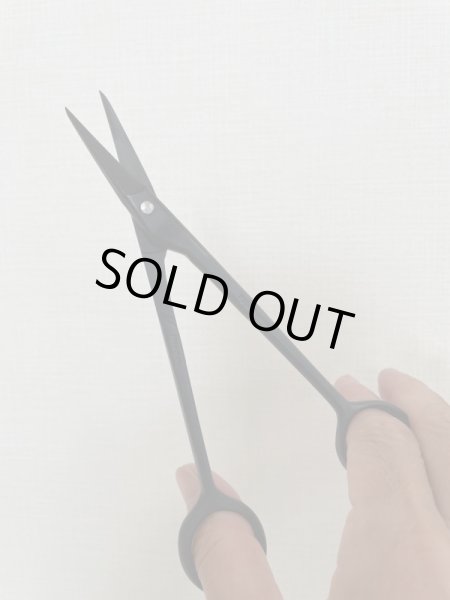 Photo6: No.0005  Bud Trimming Shears for Pines and Junipers [60g/145mm] (6)