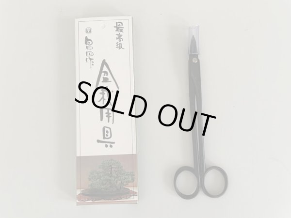 Photo2: No.0003  Bud Trimming Shears [80g/170mm] (2)