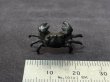 Photo2: No.ENSS0001  Crab, small bronze (2)