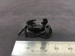 Photo4: No.ENSS0002  Crab, medium bronze (4)