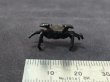 Photo4: No.ENSS0001  Crab, small bronze (4)