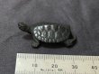 Photo2: No.ENSS0009  Turtle, small tail bronze (2)