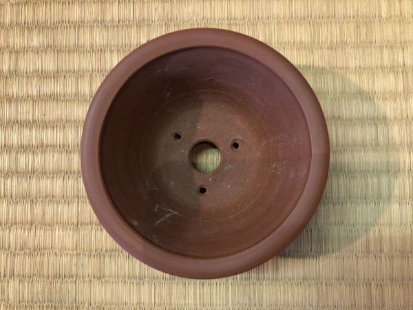 Photo3: No.EA0116  Bigei (3)