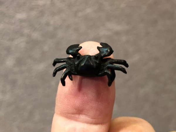 Photo6: No.ENSS0001  Crab, small bronze (6)