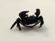 Photo3: No.ENSS0002  Crab, medium bronze (3)