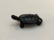 Photo3: No.ENSS0009  Turtle, small tail bronze (3)