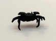 Photo5: No.ENSS0001  Crab, small bronze (5)