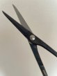 Photo4: No.0603  Bud trimming shears, Specially Made* [100g/170mm] (4)