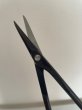 Photo5: No.0603  Bud trimming shears, Specially Made* [100g/170mm] (5)