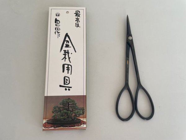 Photo1: No.0603  Bud trimming shears, Specially Made* [100g/170mm] (1)