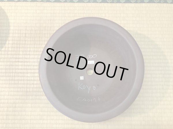 Photo3: No.EA0171  Koyo (3)