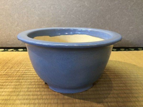 Photo2: No.EA0228  Koyo (2)