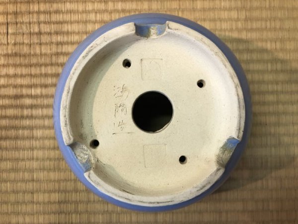 Photo4: No.EA0228  Koyo (4)