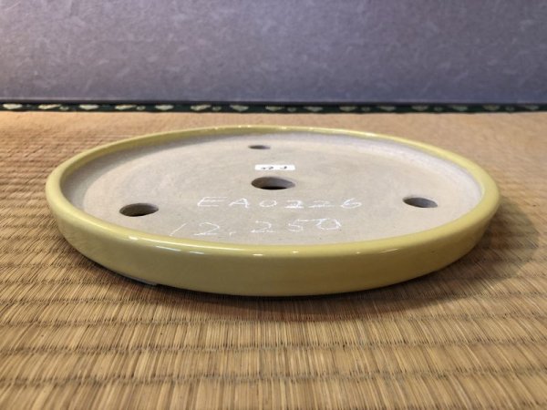 Photo2: No.EA0226  Koyo (2)