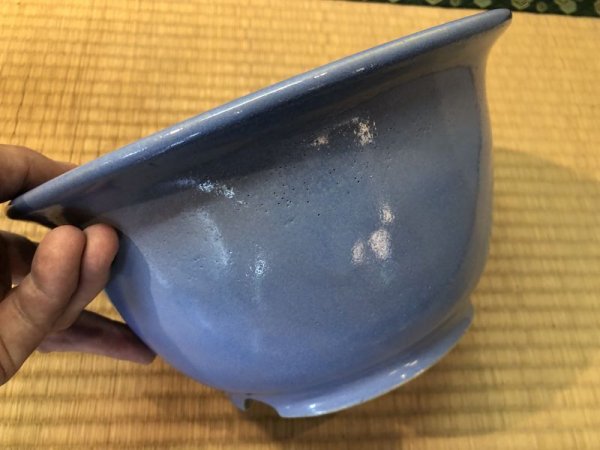 Photo5: No.EA0228  Koyo (5)