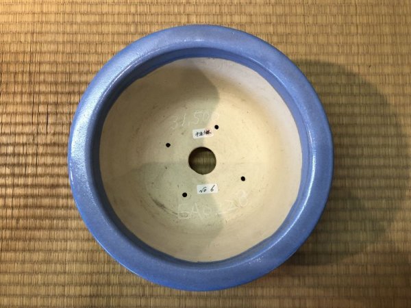 Photo3: No.EA0228  Koyo (3)