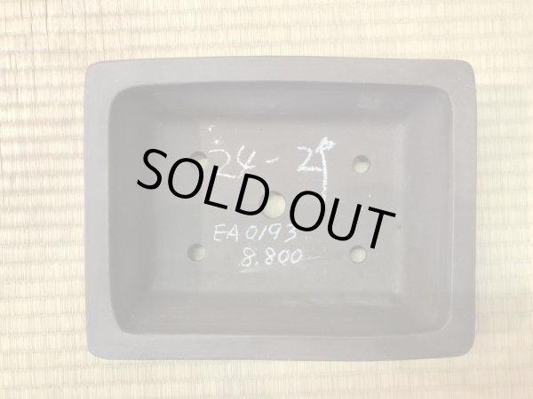 Photo3: No.EA0193  Izumiya (3)