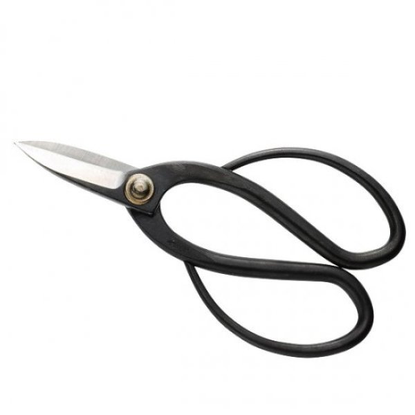 Photo1: No.1020  Bonsai scissors medium size [137g/155mm] (1)
